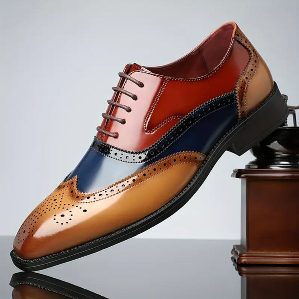 L'Oxford Calvetti — Edizione Multicolore